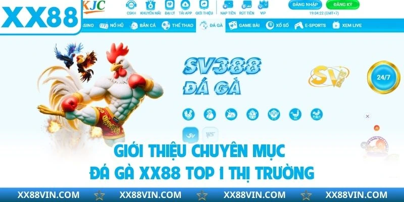 Giới thiệu chuyên mục đá gà XX88 top 1 thị trường